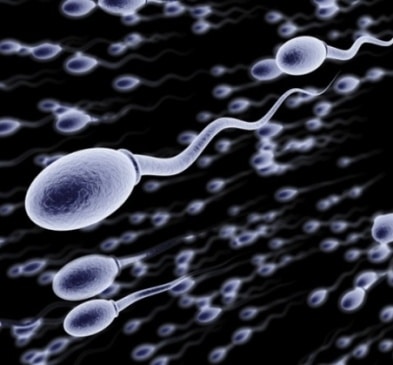 Nuovo anticoncezionale gelatinoso: spermatozoi inattivi in 15 secondi